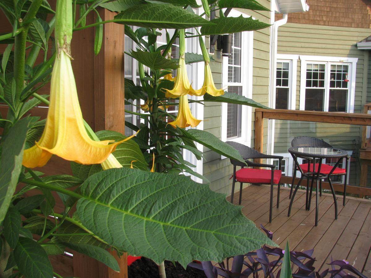 Gi'Temps Couette Et Cafe B&B Granby Buitenkant foto